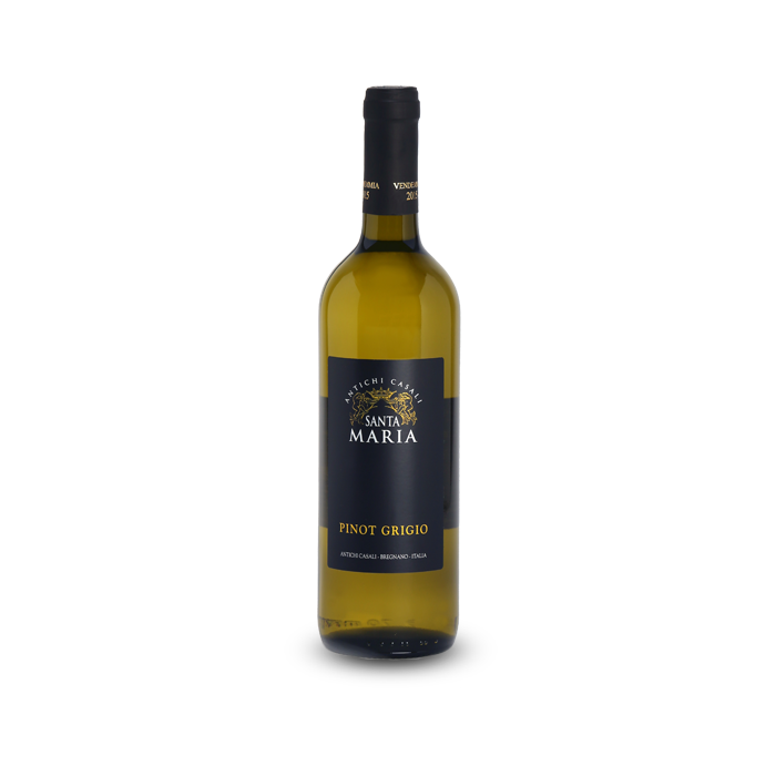 pinot grigio antichi casali